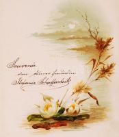 1889 Veretes emlékkönyv néhány rajzzal. Gerinc hibás