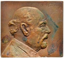 Murányi Gyula (1881-1920) 1909. "Vámbéry Ármin" orientalista, egyetemi tanár, a Magyar Tudományos Akadémia tagja bronz plakett (53x60mm) T:2 Hungary 1909. Ármin Vámbéry orientalist, professor ,member of the Hungarian Academy of Sciences Br plaque Sign: Gyula Murányi (53x60mm) C:XF HP-3690.