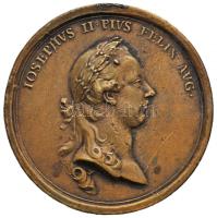 Habsburg Birodalom 1773. "József herceg Erdélyi látogatása" Br emlékérem. Szign.: Johann Martin Krafft (50mm) T:2- fny. Habsburg Monarchy 1773. Joseph in Transylvania Br commemorative medallion. "IOSEPHVS II PIVS FELIX AVG / ADVENTVS AVG - MDCCLXXIII" Sign.: KRAFFT F. (50mm) C:VF ear mark