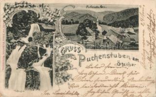 1899 Puchenstuben floral (EK)