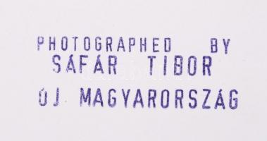 Cca 1988 Sáfár Tibor: Tüntetés a dunai vízlépcsők ellen. Az Új Magyarország számára készült 8 db Saj...