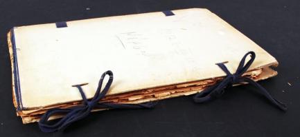 1917. Néplap. Gazdasági hetiujság a földmívelő nép számára. 1917. XXIV. évf. 1-12. szám