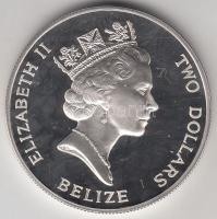 Belize 1993. 2$ Ag "Erzsébet-40. koronázási évforduló" T:PP Belize 1993. 2 Dollars Ag "40th Anniversary - Coronation of Queen Elizabeth II" C:PP