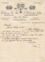 1903 Haléczy Szűcsipar Liptószentmiklós díszes számla