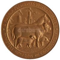 Dr. Szent-Gály / Dr. Bossányi 1948. "A Magyar Földművelésügyi Miniszter / Magyarország Ujjáépítéseért" aranyozott fém plakett adományozói dísztokban (80mm) T:1 Hungary 1948. "Minister of Agriculture / Reconstruction of Hungary" gold plated commemorative medallion in original case. Sign: Dr. Szent-Gály / Dr. Bossányi (80mm) C:UNC