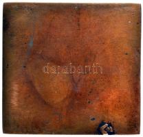 DN. Nagy Imre Br emlékplakett (d=66x70mm) T:2