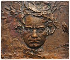 Ausztria ~1930. "Ludwig van Beethoven" Br kidomborodó plakett. Szign.: Franz Stiasny (64x55mm) T:2 Austria ~1930. "Ludwig van Beethoven" Br commemorative plaque. Sign: F: STIASNY (64x55mm) C:XF