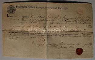 1825 Baranya Vármegye Úti levele egy esztendőre