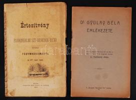 Értesítvény a Pannonhalmi Szt-Benedek-rend Győri főgimnáziumáról az 1874 tanév végén. Győr, 1875. Gross 51p. + dr. Pastinszky János: dr. Gyulay Béla emlékezete, Bp., 1911.