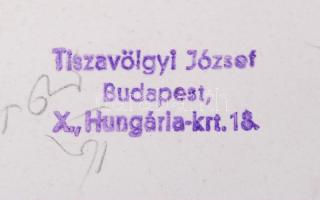 1944-1945 Tiszavölgyi József vintage fotói a II. világháború pusztításairól, többsége feliratozott, ...