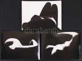 1960-1970 Miloslav Stibor (1927-2011) 12db finoman erotikus, művészi aktkompozíciója. Hátoldalán sze...