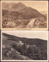 2 db régi kárpátaljai városképes lap: Trebusafejérpatak, Mencsúli üdülőtepel / 2 old postcards from Carpathian Ukraine