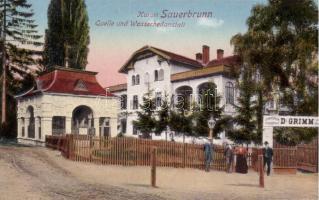 Savanyúkút, Dr. Grimm's sanatorium