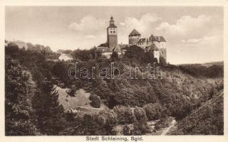 Városszalónak, Schlaining, castle