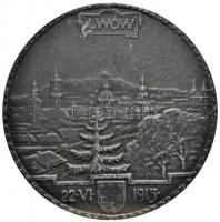 Lengyelország (osztrák veret) 1915. "Lviv felszabadulásának emlékére" cink emlékérem. Szig...