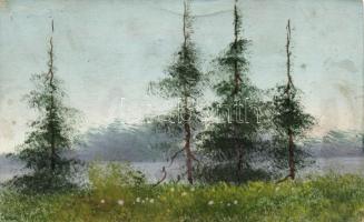 26 db vegyes, 4 lap kivételével régi külföldi (főleg osztrák) és magyar városképes lap, köztük egy e...