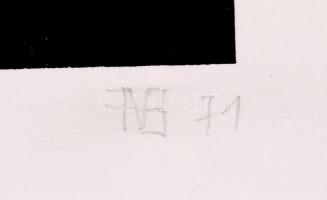 FNB jelzéssel: In memoriam II. Litográfia 33/70, papír, üvegezett keretben, 24×20 cm