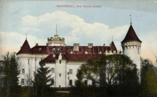 Nagykároly Károlyi kastély / castle