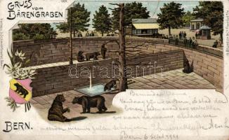 Bern, Bärengraben / Bear Pit, litho (b)