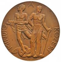 1935. "Dunaszentgyörgyi Tolnay Kornél - 1935 / Mindig A Közért" Br emlékérem. Szign.: Beck...