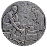 Dr. Székely Károly (1880-1941) 1921. "Kitüntetve a M.Kir.Földművelésügyi Ministerium Gyógy- és Iparinövény Forgalmi Irodája által rendezett kiállításon, Budapest 1921" Ag emlékérem, peremén nemesfém és "LE" beütéssel (58mm/72.8g/0.935) T:2,2- Hungary 1921. "Exhibition of the Ministry of Agriculture" Ag commemorative medallion with hallmarks on the edge. Sign: SZÉKELY (58mm/72.8g/0.935) C:aXF HP-5102.