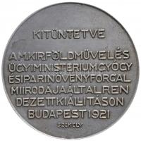 Dr. Székely Károly (1880-1941) 1921. "Kitüntetve a M.Kir.Földművelésügyi Ministerium Gyógy- és ...