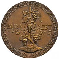 Mátrai Lajos (1875-1966) / Ohmann Béla (1890-) 1922. "Országos Szőlő és Borgazdasági Kiállítás - Budapest 1922" Br emlékérem (57mm/70g) T:2 Hungary 1922. "National Grape and Wine Exhibition" Br commemorative medallion. Sign: MÁTRAI / OHMANN (57mm/70g) C:XF HP-3773.