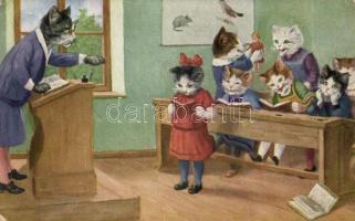 Cats, school, students, teacher (EK)