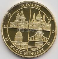 2011. "Budapest Sziget Fesztivál" aranyozott emlékérem (32mm) T:PP