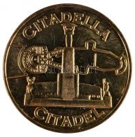 2010. "Budapest Érem" 150db aranyozott emlékérem (32mm) különféle motívumokkal T:1