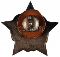 Csehszlovákia 1939-1945. Partizán kitüntetés ezüstözött Br, csavaros rögzítéssel (50x48mm) T:1
Czech...