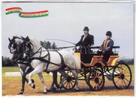 Nyúl Zoltán világbajnok fogathajtó aláírása képeslapon