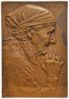 Ausztria / Bécs 1910. "Nagymamai odaadás" Br plakett, jobbra néző kendős öreghölgy rózsafüzérrel. Szign.: Arnold Hartig (45x65mm) T:2 Austria / Vienna 1910. "Großmutters Andacht" Br plaque. Sign: A: HARTIG (45x65mm) C:XF