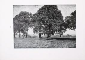 Hans Thoma: Landschaften. Mainz, 1908. 35p