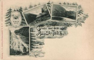 Bilea-völgy / valley, waterflall, hut, lake, floral (kis szakadás / small tear)