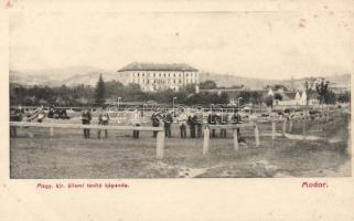 Modor, Magyar királyi állami tanító képezde / teacher training school (fl)