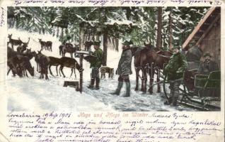 Feeding wild animals, hunters, deers (fa)