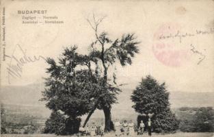 Budapest XII. Zugliget, Normafa (EK)