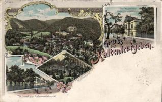 1898 Kaltenleutgeben Winternitz'sche Kaltwasser-Heilanstalt, Schießstätte, Dr. Emmel'sche Kaltwasserheilanstalt, litho floral (EK)