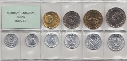 1987. 2f-20Ft 10db klf érmés forgalmi sor fóliatokban T:1