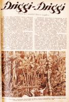 1927 A Képes Krónika magazin I. fél évfolyama bekötve, hibátlan állapotban