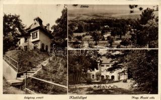 Piliscsaba Klotildliget, Galgóczy penzió, Nagy Árpád villa (EK)