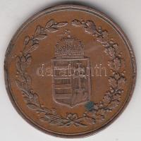 ~1900. "Fél napi munka" bárca T:3 ph., k.