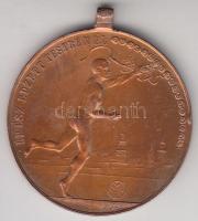 1912. "A Soproni Állami Széchenyi I. Reáliskola Sportkörének Versenydíja - Turul 1912 / Ép ész edzett testben él" Br díjérem, szign.:SCHWERAK T:2-