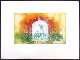 Egresi Zsuzsa (1954-): Marione, avagy az ősi fák lelke XV/II. Cinkkarc, papír, jelzett, 18×31 cm