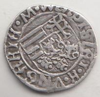 1497. Denár "II. Ulászló" (0,67g) T:2- Huszár 803.,Unger I.: 638.e.