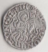 1497. Denár "II. Ulászló" (0,67g) T:2-
Huszár 803.,Unger I.: 638.e