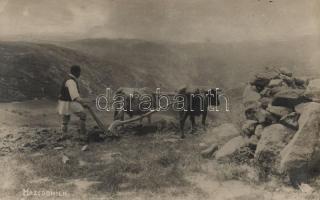 Macedonian folklore, plowing with ox (EK)