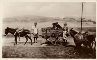 Aden donkey cart