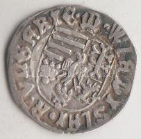 1498-1503. Denár Ag "II. Ulászló" (0,47g) T:2,2- verőtő változat Huszár 806.,Unger I.: 640.a